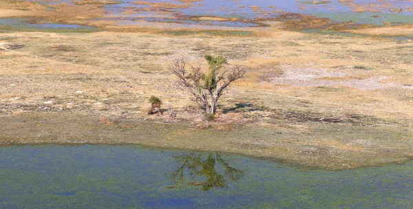 Okavango Delta Vista Aerea Paesaggio Mozzafiato Del Botswana — Foto Stock
