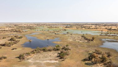 Okavango Delta hava manzarası, Botswana 'nın büyüleyici manzarası.
