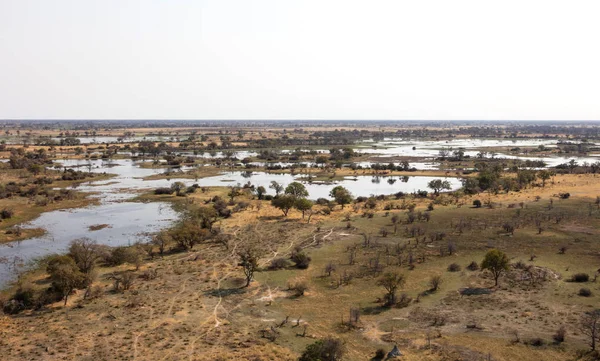 Letecký Pohled Deltu Okavango Nádherná Krajina Botswany — Stock fotografie