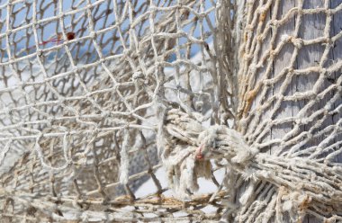 Fishnet Hollanda'da bir plajda