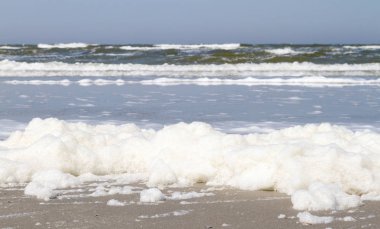 Deniz kıyısı görünümü, Hollanda - seçici odak beach