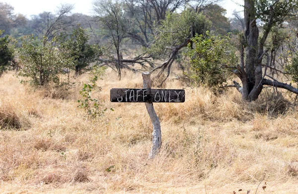 Firme Kalahari Solo Personal Botswana —  Fotos de Stock