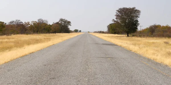 Ashpalt Road Botswana Smooth Potholes — Stock Photo, Image