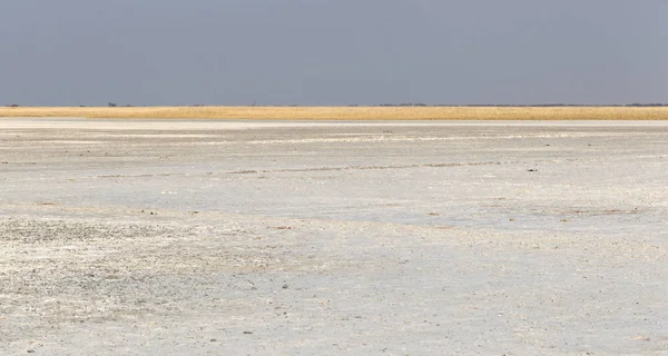 Park Narodowy Patelnie Makgadikgadi Rozległy Krajobraz Botswana — Zdjęcie stockowe