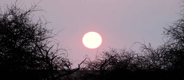 Makgadikgadi 盘中的粉红色日落 博茨瓦纳 — 图库照片