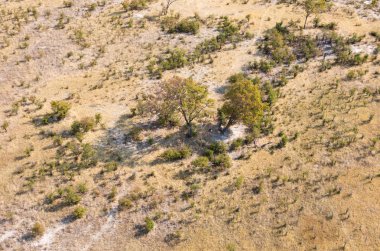 Okavango Delta hava manzarası, Botswana 'nın büyüleyici manzarası.