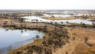 Okavango Delta hava manzarası, Botswana 'nın büyüleyici manzarası.