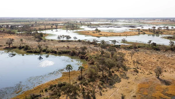 Okavango Delta Aerial View Botswana Stunning Landscape — стоковое фото