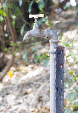 Bir kamp yerinde Namibya, Afrika üzerinde Watertap