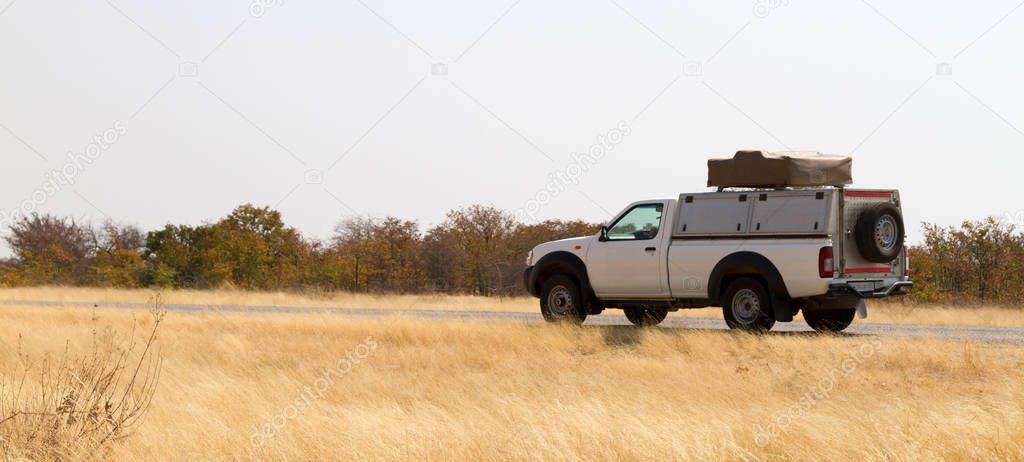 Pickup truck with rooftop tent driving in Botswana
