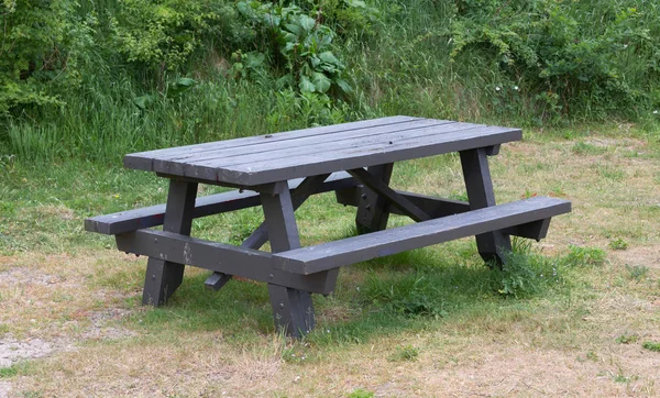 Enkel Bänk Park Nederländerna — Stockfoto