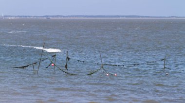 Balık ağı denizin - Dutch coast