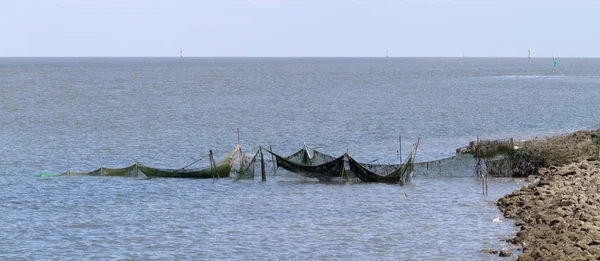 荷兰海岸捕鱼网 — 图库照片