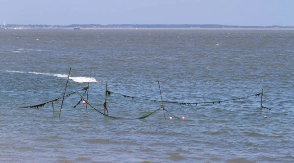 Fischernetz Meer Holländische Küste — Stockfoto