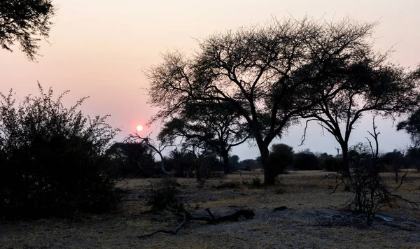 Západ Slunce Botswaně Zapadá Slunce Krásné Krajině — Stock fotografie