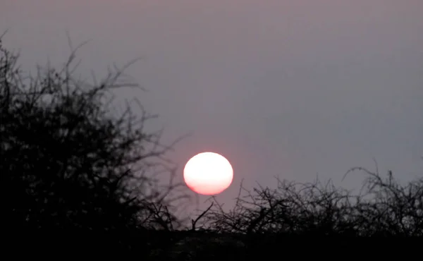 Makgadikgadi 盘中的粉红色日落 博茨瓦纳 — 图库照片