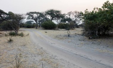 Botswana'da Sandy road, Güneş batıyor