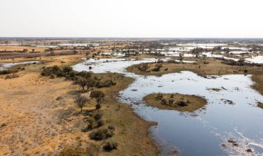 Okavango Delta hava manzarası, Botswana 'nın büyüleyici manzarası.
