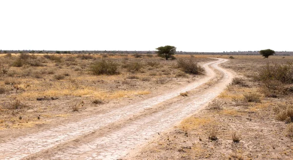 Sandy road in Botswana — Stock Photo, Image