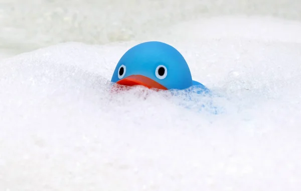 Pato azul en una bañera —  Fotos de Stock