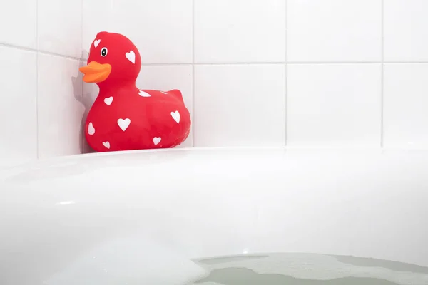 Grand Canard Caoutchouc Rouge Dans Une Baignoire Mise Point Sélective — Photo