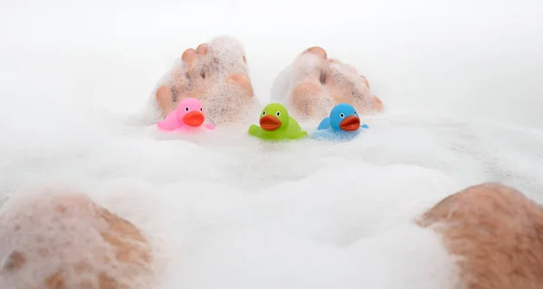 Los Pies Los Hombres Una Bañera Blanca Brillante Enfoque Selectivo —  Fotos de Stock