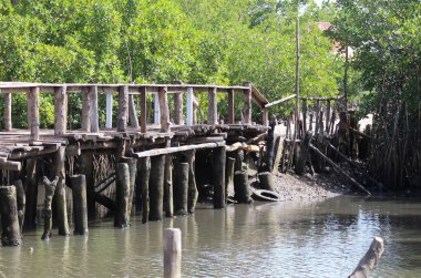 Nehrin üzerindeki eski kırık ahşap köprü, yeşil ağaç arka planı