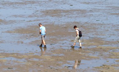 Doğa turu sırasında bir bankanın düzlüklerinde yürüyüş yapanlar - Hollanda
