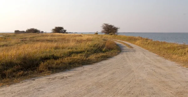Дорога Кабани Макгадікгаді Ботсвана Рано Вранці — стокове фото