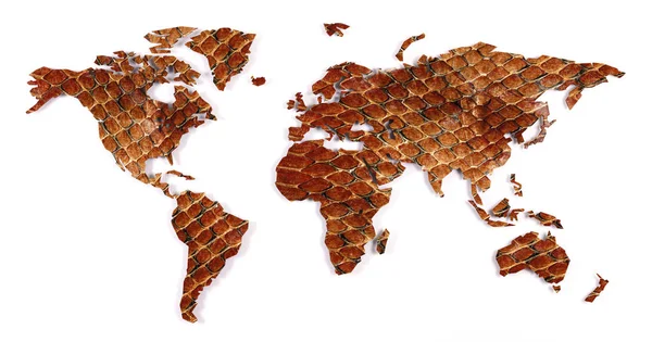 Roughly outlined world map - Snake skin — Zdjęcie stockowe