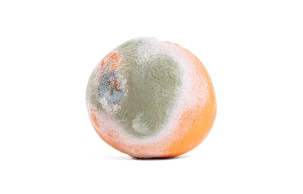 Zgniłe pomarańczowy — Zdjęcie stockowe