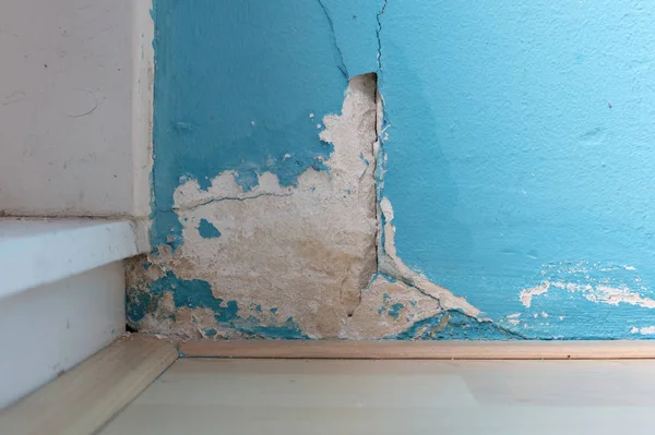 Old peeled wall with mold