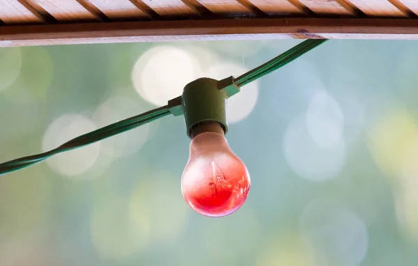 Red light bulb decor in outdoor party