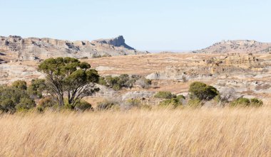 Isalo Milli Parkı manzara Kanyon landmark Madagaskar