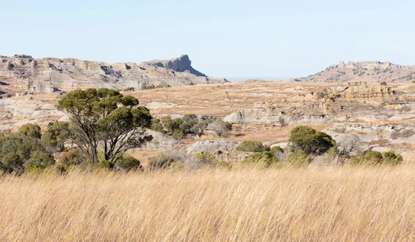 Isalo Milli Parkı manzara Kanyon landmark Madagaskar — Stok fotoğraf