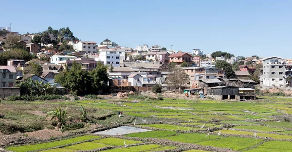 Uitzicht op Antananarivo — Stockfoto