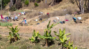Ranomafana, Madagaskar 25 Temmuz 2019 tarihinde - Yerel halk yapıyor