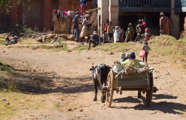 Fiadanana, Madagaskar 26 Temmuz 2019 - Zebu arabasında çocuklar