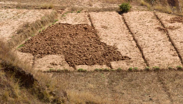 Jordbruksområden i Madagaskar — Stockfoto