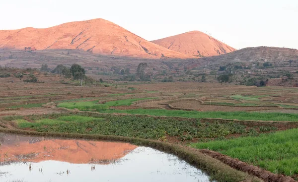 Mezőgazdasági területek Madagaszkáron — Stock Fotó