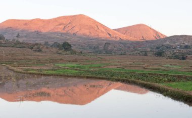 Madagaskar'da tarım alanları