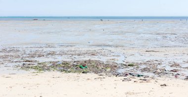 Çevre kavramı, sahilde çöp kirliliği
