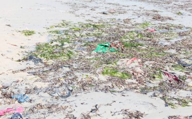 Çevre kavramı, sahilde çöp kirliliği