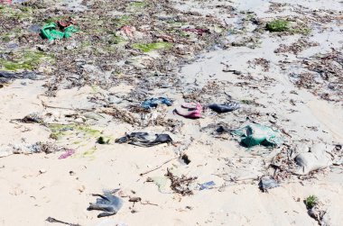 Çevre kavramı, sahilde çöp kirliliği