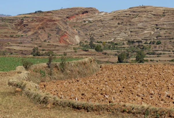 Mezőgazdasági területek Madagaszkáron — Stock Fotó