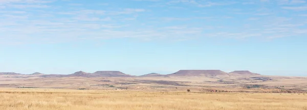 Typical view of the south of Madagascar — Stock Photo, Image