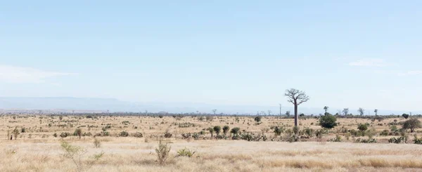 Типичный вид на юг Мадагаскара — стоковое фото