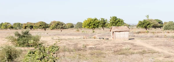Типичная малгасийская хижина — стоковое фото