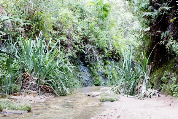 Cañón en el Parque Nacional de Isalo en Madagascar —  Fotos de Stock