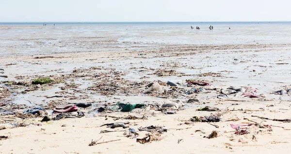 Concepto de medio ambiente, contaminación de basura en la playa — Foto de Stock